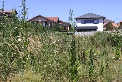 Teren Construcții intravilan de 500 mp, în Dragomirești-Deal