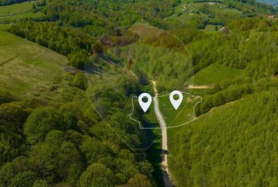 Teren agricol extravilan de 4363 mp, în Holbav - 1