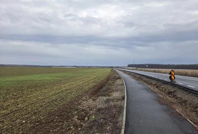 Teren 15000 mp intr. in Scrovistea langa Snagov - 5