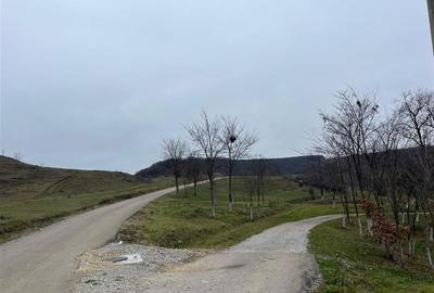 RECO Teren intravilan pentru casa 500 mp , Hidiselu de Sus - 5