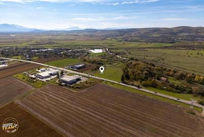 Teren Construcții intravilan de 5800 mp, în Exterior Est - 2