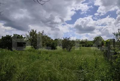 Teren de 860 mp, în Podgoria - 3