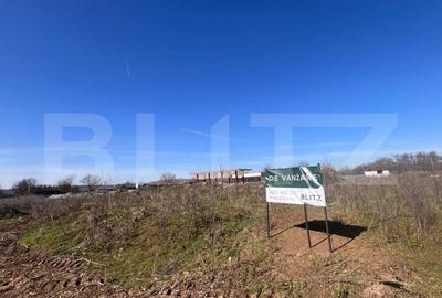 Teren Construcții intravilan de 12500 mp, în Ișalnița - 1