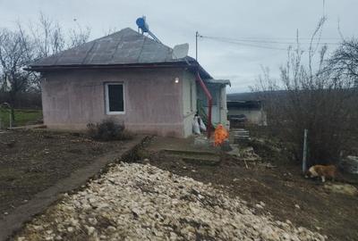 Casă individuală cu 2 camere cu Teren 2500 Mp în Dumbrăveni - 4