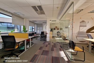 Birou, de 450 mp, în Băneasa - 8