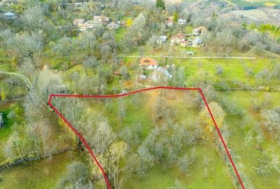 Teren Construcții intravilan de 4384 mp, în Talea - 9