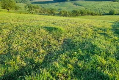 Teren de 9400 mp, în Remetea Chioarului - 7