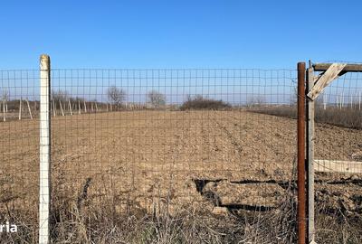 Teren de 4600 mp, în Adunații-Copăceni - 2