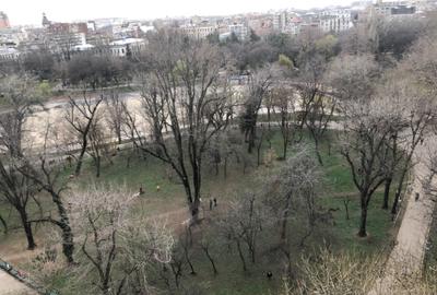 Apartament cu 2 camere semidecomandat, mobilat în Cișmigiu - 4