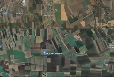 Teren extravilna Cota parte 1/16, CObadin, ID: R2782865 - 4