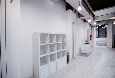 SPATIU UNIC KISELEFF - 9