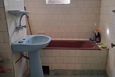 Apartament cu 3 camere decomandat în Lăpuș Argeș - 6