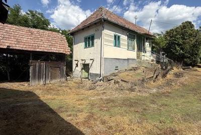Casă cu 3 camere cu Teren 29000 Mp în Central - 7