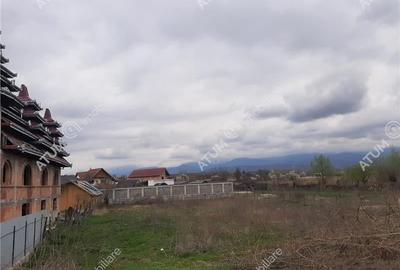 Teren intravilan 1300 mp de vanzare pe Valea Avrigului, drum asfaltat - 3