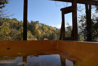 Pensiune boutique, zona Schei - spre Calea Poienii, comision ZERO. - 3