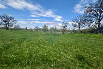 Teren Construcții intravilan de 4733 mp, în Drajna de Jos - 3