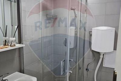 Apartament cu 1 camere decomandat, mobilat în 1 Mai - 3