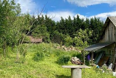 TEREN SI CASA UILEACUL DE MUNTE | 2.215MP - 9