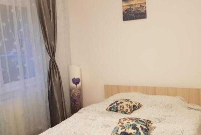 Apartament cu 2 camere semidecomandat, mobilat în Centrul Civic - 3