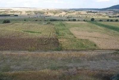 Teren Extravilan Banca, ID: R2805492 - 6