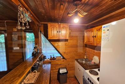 Casa de vacanta cu 4 camere,3300 mp teren,Valisoara - 15