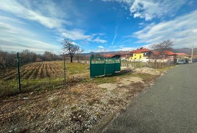 Super Ofertă! Teren Intravilan+Extravilan Gorj - 11