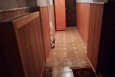 Casa Mehala, Timi?oara - 12