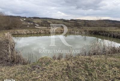 Spațiu comercial, în Rontău - 4