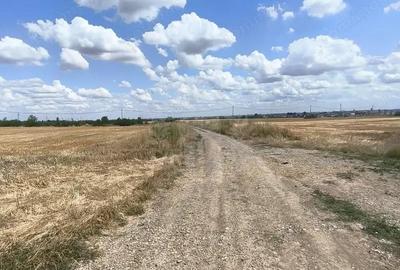 Teren de 7100 mp, în Păulești - 4