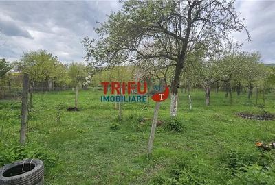 Casă cu 4 camere în Benic - 11