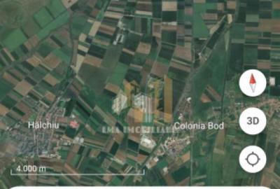 Teren de 14450 mp, în Feldioara - 5