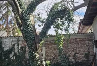 Casă cu 4 camere cu Teren 344 Mp în Central - 14