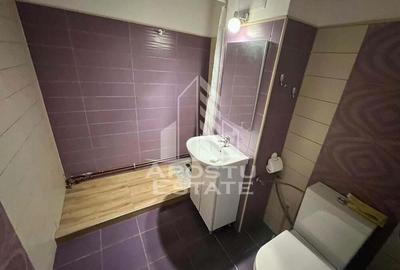 Apartament cu 2 camere decomandat în Lipovei