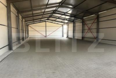 Hala industriala -zona Colanu - 1