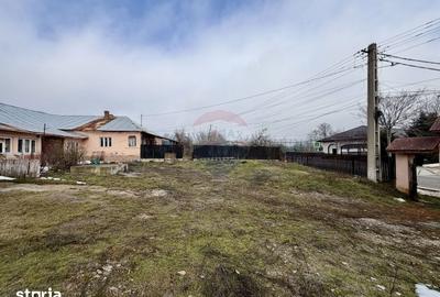 Casă cu 4 camere cu Teren 7727 Mp în Cârligele - 19