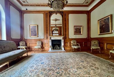 Vila superba Parcul Ioanid Vila superba Parcul Ioanid - 11