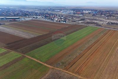 Comision 0% cumparator | Teren extravilan | 14,600mp | Tarlungeni - 7