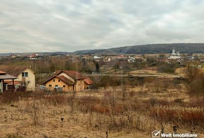 Teren Construcții intravilan de 2365 mp, în Chinteni - 1