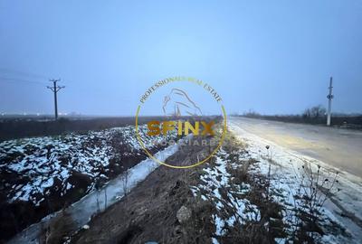 Teren Construcții intravilan de 14500 mp, în Bolintin-Deal - 1