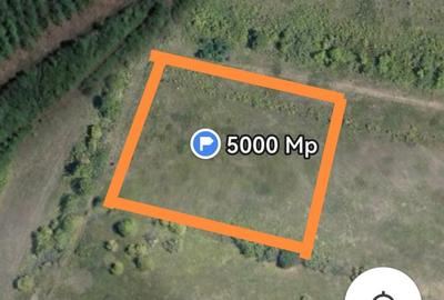Teren de 2500 mp, în Nord