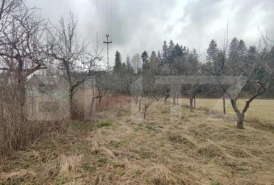 Casă cu 4 camere cu Teren 2500 Mp în Putna - 10