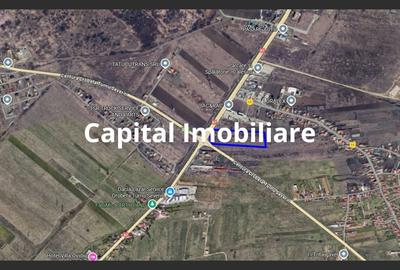 Teren Centura Severin - Acces din Giratoriu, 15 219mp