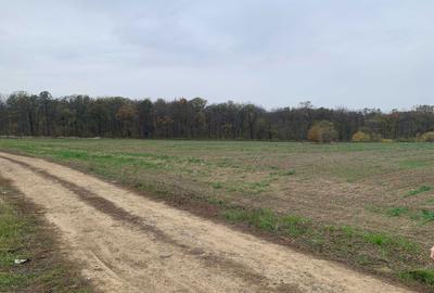 Spațiu comercial, în Săbăreni - 2