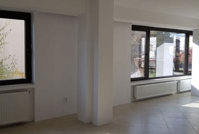 Spațiu comercial, de 56 mp, în Pache Protopopescu - 9