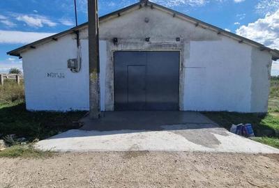 Hala Depozit de inchiriat - 4