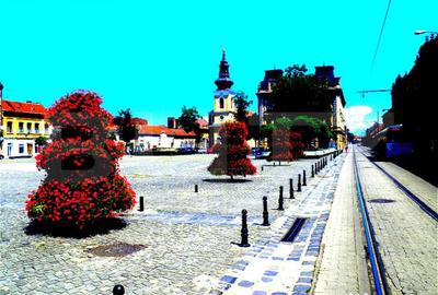 Casă cu 7 camere cu Teren 726 Mp în Traian - 2