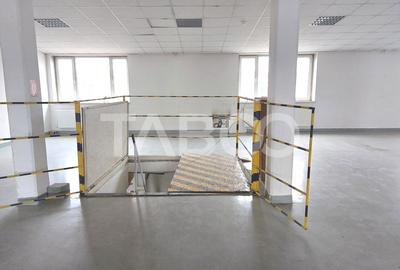 Spatiu industrial 320 mp depozite si birouri acces TIR Viile Sibiului - 2