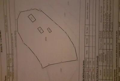 Casă cu 2 camere în Visca - 3