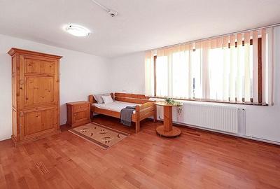 Proximitate fata de Castelul Bran - 40