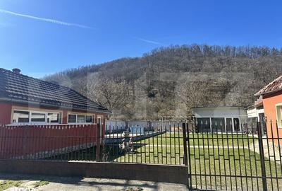 Casă cu 3 camere cu Teren 3298 Mp în Vețel - 3